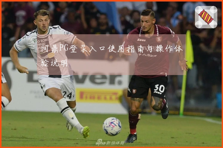 问鼎PG登录入口使用指南与操作体验说明