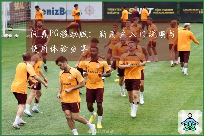 问鼎PG移动版：新用户入门说明与使用体验分享